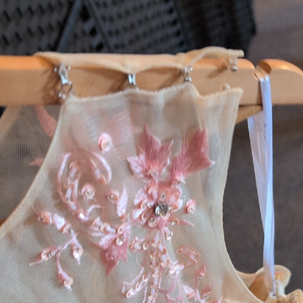 Rachel Allan Pink Appliqué Illusion Bodice Maxi Dress - Picture 10 of 11